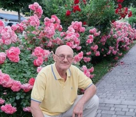 Николай, 63 года, Кременчук