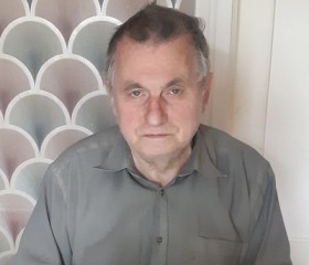 Вячеслав, 76 лет, Тула