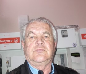 Анатолий Мальцев, 69 лет, Омск