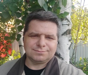 Владимир, 45 лет, Пермь