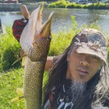Tim, 49  , Brookfield (State of Wisconsin)