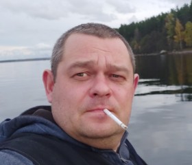 Иван, 42 года, Сертолово