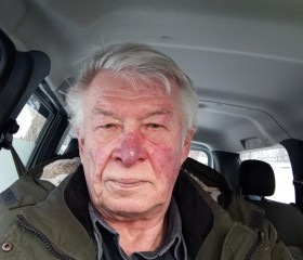 Valentin, 69, Vyborg