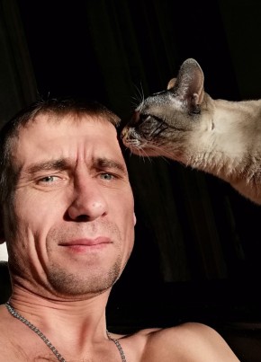 Александр, 41, Россия, Рязанская