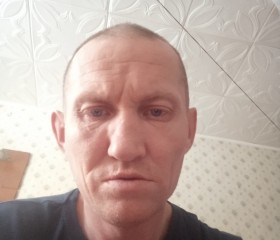 Николай, 45 лет, Ижевск