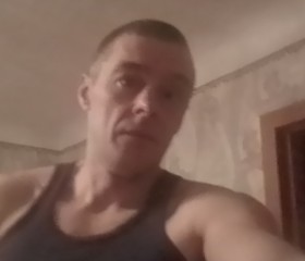 Владимир, 45 лет, Боровичи