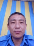 Тимур, 36 лет, Алматы