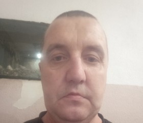 Vyacheslav, 45, Cherdakly
