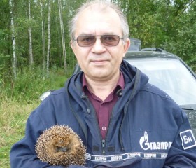 Сергей, 59 лет, Рыбинск