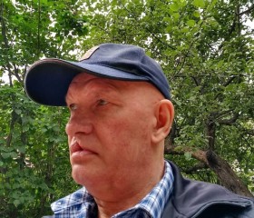 evgenij moiseev, 59 лет, Дубна (Тула)
