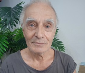 Михаил Сетянов, 73 года, Воронеж