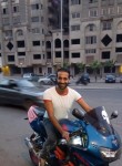 ديفيد, 31  , Cairo
