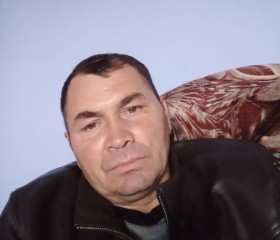 Николай Иванов, 46 лет, Туймазы