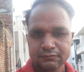 Mahendra Jangid, 36 лет, Jaipur