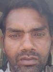 Himanshu Kumar, 38 лет, New Delhi