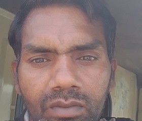 Himanshu Kumar, 38 лет, New Delhi