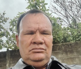 Carlos Fernandes, 51 год, Ponta Grossa