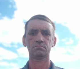 Михаил, 47 лет, Чистополь