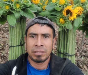 Eugenio, 30 лет, San Juan Sacatepéquez