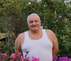 Viktor, 70, Vitebsk