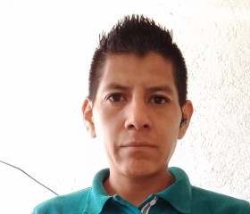 Armando, 35 лет, Fuentes del Valle