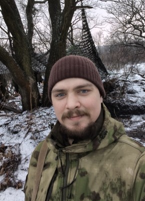 Александр из Москвы 33 года