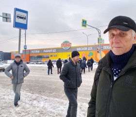 Алекс, 71 год, Воронеж