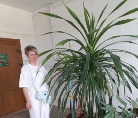 Светлана, 51 год, Черкесск