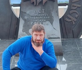 Саша, 36 лет, Архангельск