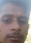 Pars Dhankar, 20 лет, Jabalpur
