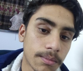 Alishaer, 20 лет, اسلام آباد