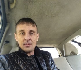 ДЕНИС, 44 года, Дальнегорск