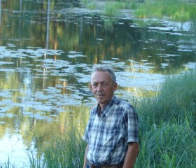 Сергей, 67 лет, Верхняя Салда