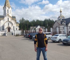 Сергей Фурсов, 43 года, Воронеж