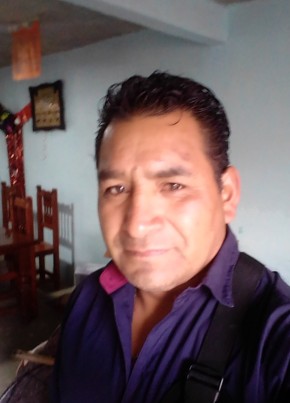 Esteban, 51, Estados Unidos Mexicanos, Santa María Totoltepec