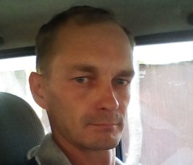 Владимир, 43 года, Тамбов