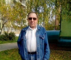 Александр, 66 лет, Ижевск