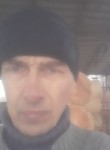 Николай, 52 года, Курск