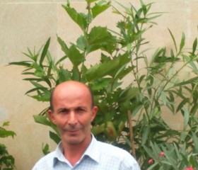 Semid, 51 год, Salyan