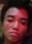 Imamchoirudin, 20 лет, Banyuwangi