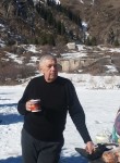 петр виниченко, 71 год, Өтеген батыр