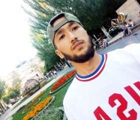 Amir, 22 года, Москва