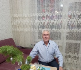 Николай, 65 лет, Омск