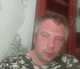 Андрей Лытов, 36 лет, Волжский (Волгоградская обл.)