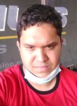 Carlos, 33 года, Ponta Grossa