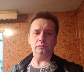 Алексей, 45 лет, Струги-Красные