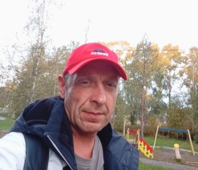 Денис, 42 года, Светогорск