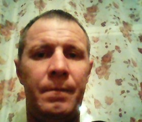 Александр, 46 лет, Йошкар-Ола