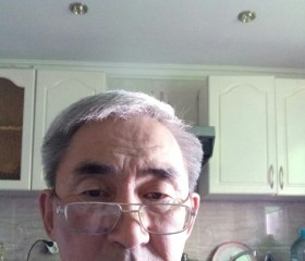 Рустем Сагдиев, 70 лет, Астана