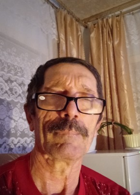 МИХАИЛ, 67, Россия, Лесной